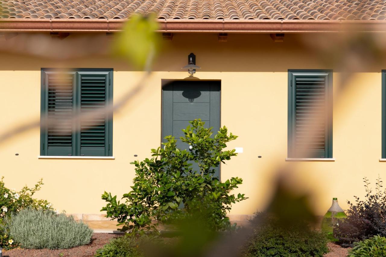 Agriturismo Casa Chiara 拉蒂纳 外观 照片